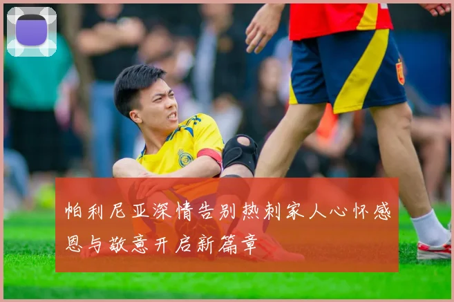 帕利尼亚深情告别热刺家人心怀感恩与敬意开启新篇章